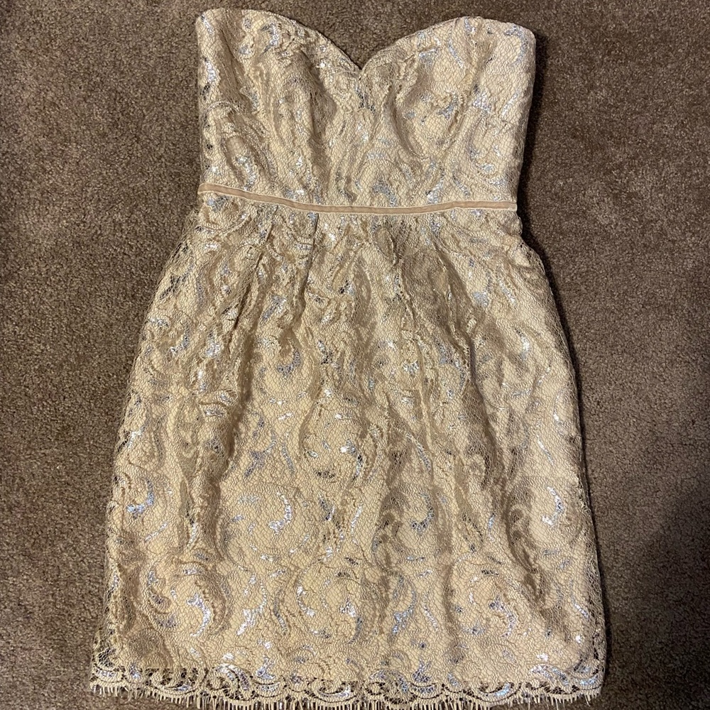 Elegant Strapless Lace Dress